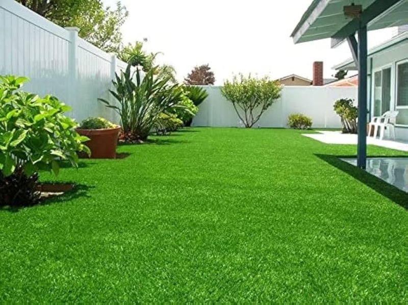 Premium Grass Seeds Pack Of 200 G (Pack of 2)